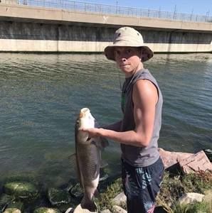 Meet your Posher, Garrett